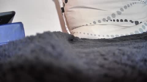 boy3911 online show from February 11, 5:40 pm