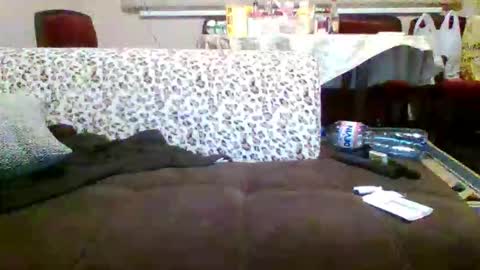 boycam 98 online show from February 1, 6:49 pm