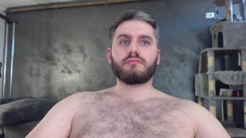 Snapshot of brad_pittfall chatting on December 19, 11:18 am ask me online show from December 19, 11:18 am