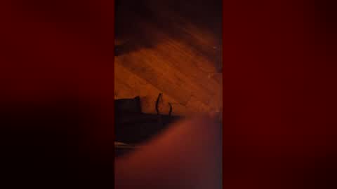 bradwade01998794 online show from July 27, 12:35 pm