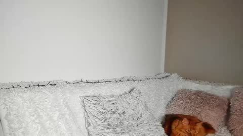 brianadiamondxxx online show from March 27, 11:00 am