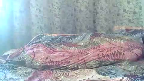 Josh online show from March 23, 6:29 am