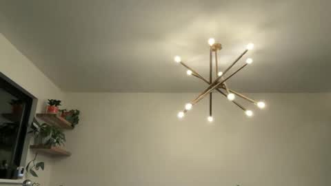 Bruce online show from April 12, 4:38 am