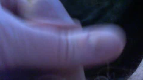 bullemoe online show from March 12, 5:44 am