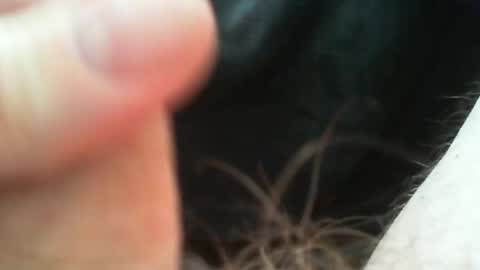 bullemoe online show from April 27, 11:52 am