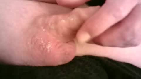 Hamish online show from February 15, 7:06 pm