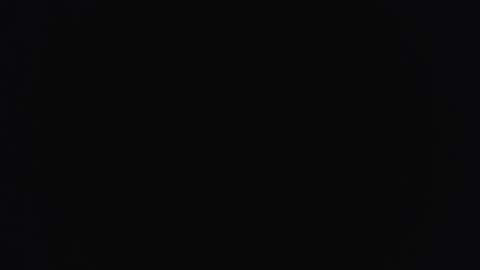 bushhouse21 online show from March 14, 8:29 am