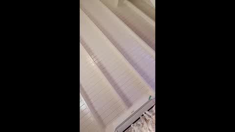 bustyirie online show from February 3, 5:39 pm