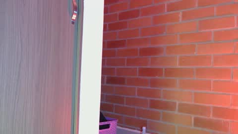 Mary  online show from February 15, 4:03 am