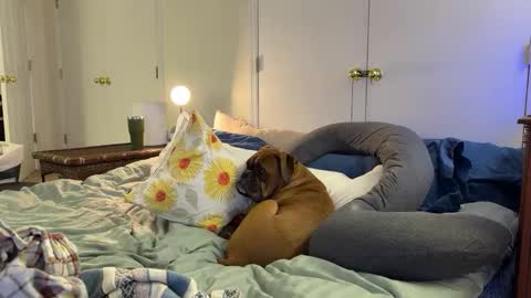 c2cmee online show from March 9, 4:39 am