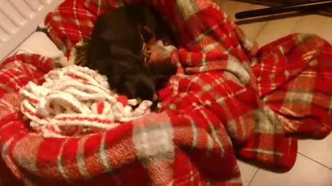 Snapshot of camdoattitude chatting on January 28, 8:58 pm CamDoAttitude online show from January 28, 8:58 pm