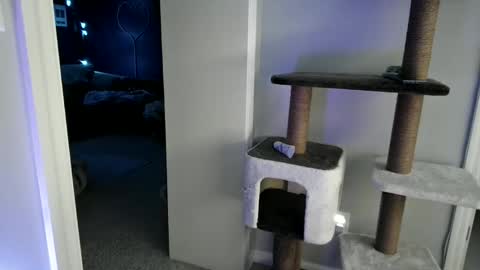 cammyman6900 online show from May 15, 5:16 am