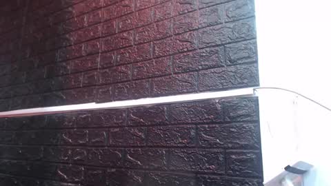 carla_999 online show from September 18, 4:33 pm