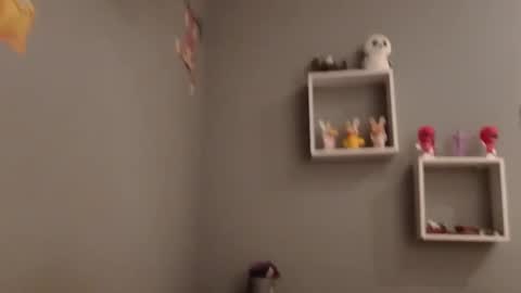 carlitito1 online show from November 19, 7:51 am