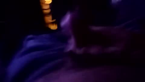 carlitito1 online show from October 23, 2:35 am