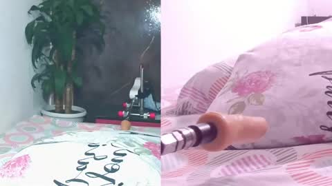 Carol online show from April 11, 11:03 am