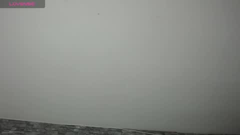 Camelia online show from September 19, 4:16 am