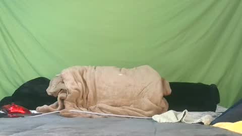 carolinayungin96 online show from September 9, 10:10 pm