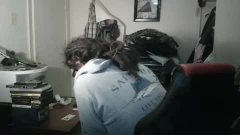 Smashdroid online show from October 24, 2:45 am