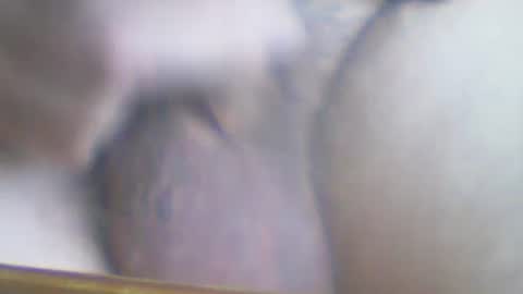 castells online show from October 2, 3:22 pm