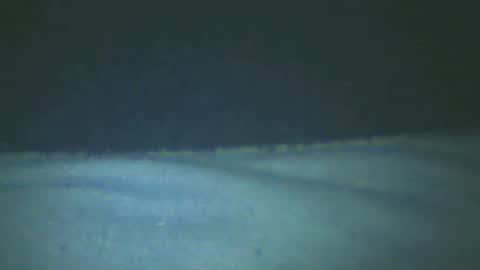 castells online show from February 20, 5:20 pm