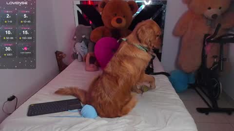 Snapshot of catalina_smith__ chatting on January 20, 1:39 am Catalina online show from January 20, 1:39 am