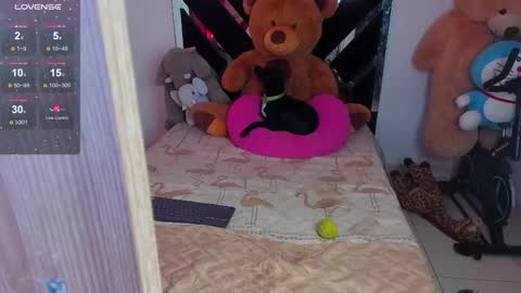 Snapshot of catalina_smith__ chatting on February 26, 2:08 am Catalina online show from February 26, 2:08 am