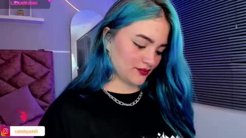  Catta online show from January 24, 3:22 am