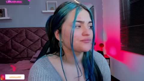  Catta online show from January 30, 8:22 am