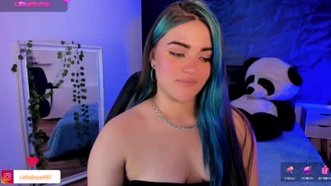  Catta online show from February 6, 11:04 pm