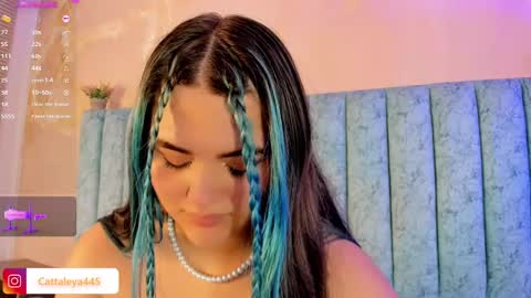  Catta online show from February 21, 8:51 am