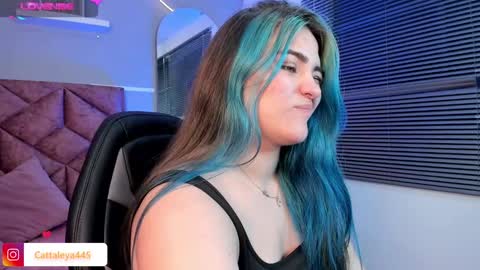  Catta online show from February 11, 10:25 am