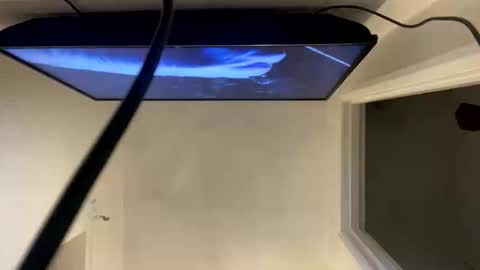 ccsexycam online show from April 10, 1:00 am