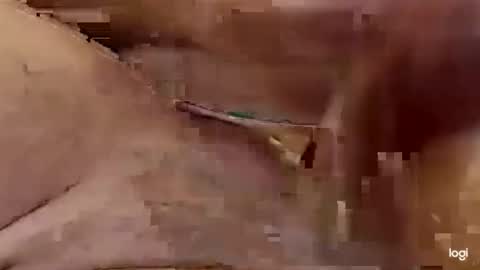 cfnmkinky28 online show from January 1, 4:07 am