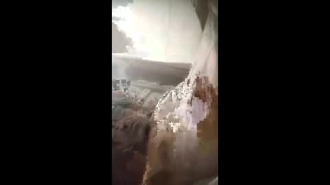 chacal6311 online show from April 19, 3:40 am