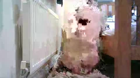 cheekyman1973 online show from March 31, 7:03 pm