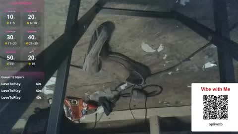 Fun With Daddys Dick Fantacy Room online show from February 23, 12:13 am