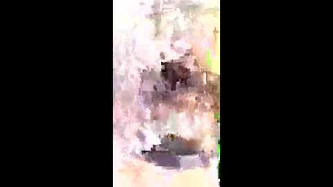 chinnu75 online show from March 23, 6:57 pm