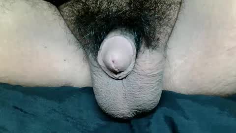 chinny_fuckdoll online show from November 13, 9:56 am