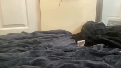 Snapshot of chitarzan chatting on September 29, 6:18 pm chitarzan online show from September 29, 6:18 pm