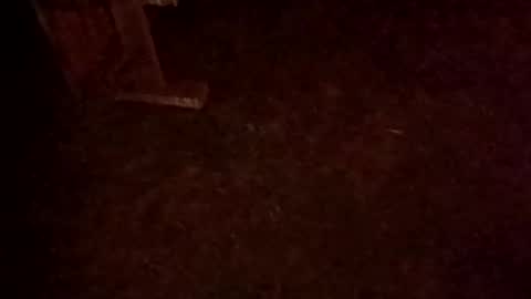 chloe_jackson965 online show from October 11, 9:03 am