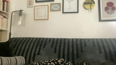 Chloe online show from December 24, 8:22 am