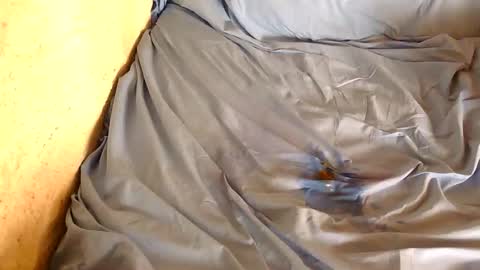 davenz online show from February 28, 3:04 pm