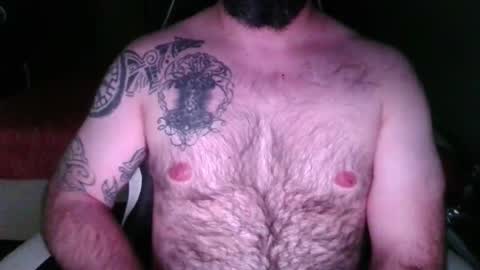 chub bear 99 online show from April 11, 3:00 am