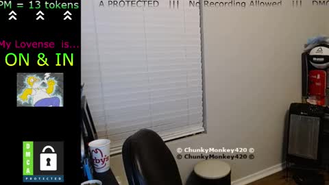 Spencer  Smokey Bear online show from February 25, 5:41 am