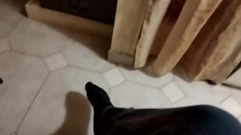 Snapshot of ciccilli chatting on October 26, 11:48 pm ciccilli online show from October 26, 11:48 pm