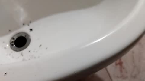 Snapshot of ciccilli chatting on September 17, 8:34 pm ciccilli online show from September 17, 8:34 pm