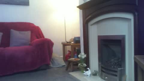 Cineman22 online show from October 15, 7:53 am