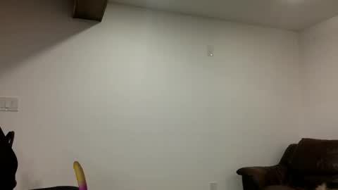 Clarke Cock online show from March 21, 11:15 am