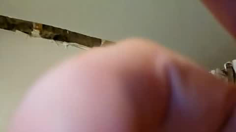 codyandbros1 online show from March 9, 9:03 am